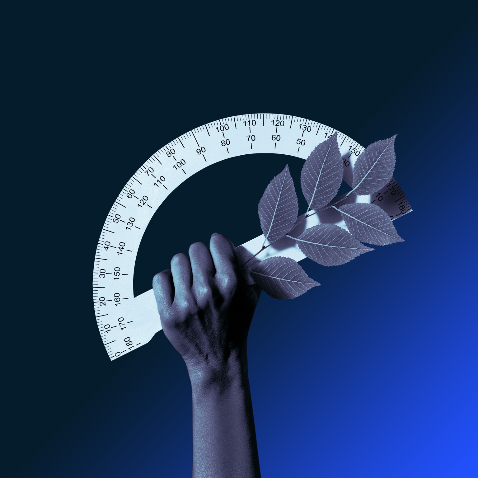 Solving the net-zero equation: Nine requirements for a more orderly transition