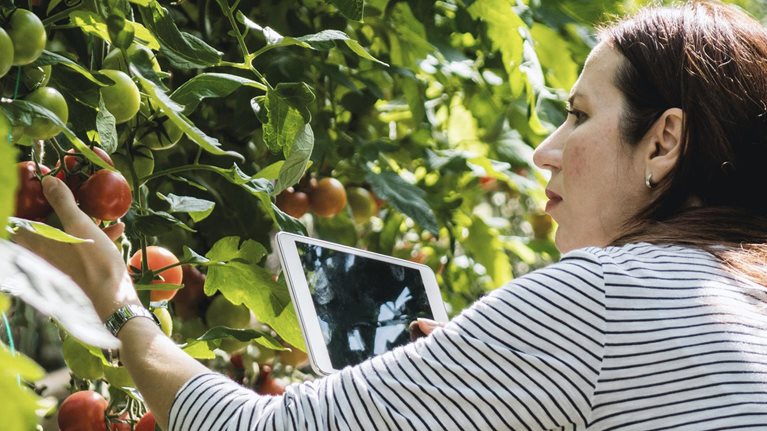 Unlocking the online retail opportunity with European farmers