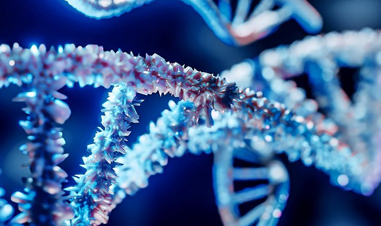 DNA helix