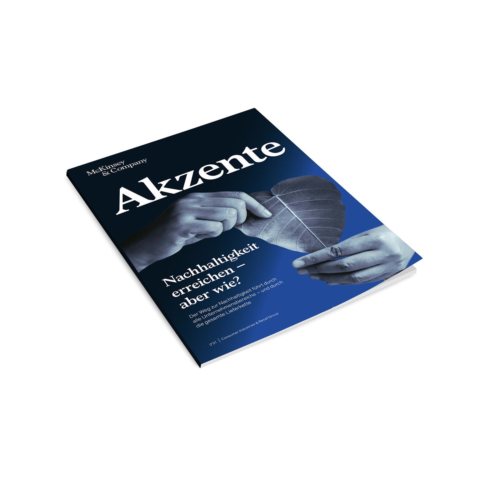Akzente 2’21: Nachhaltigkeit erreichen – aber wie? 