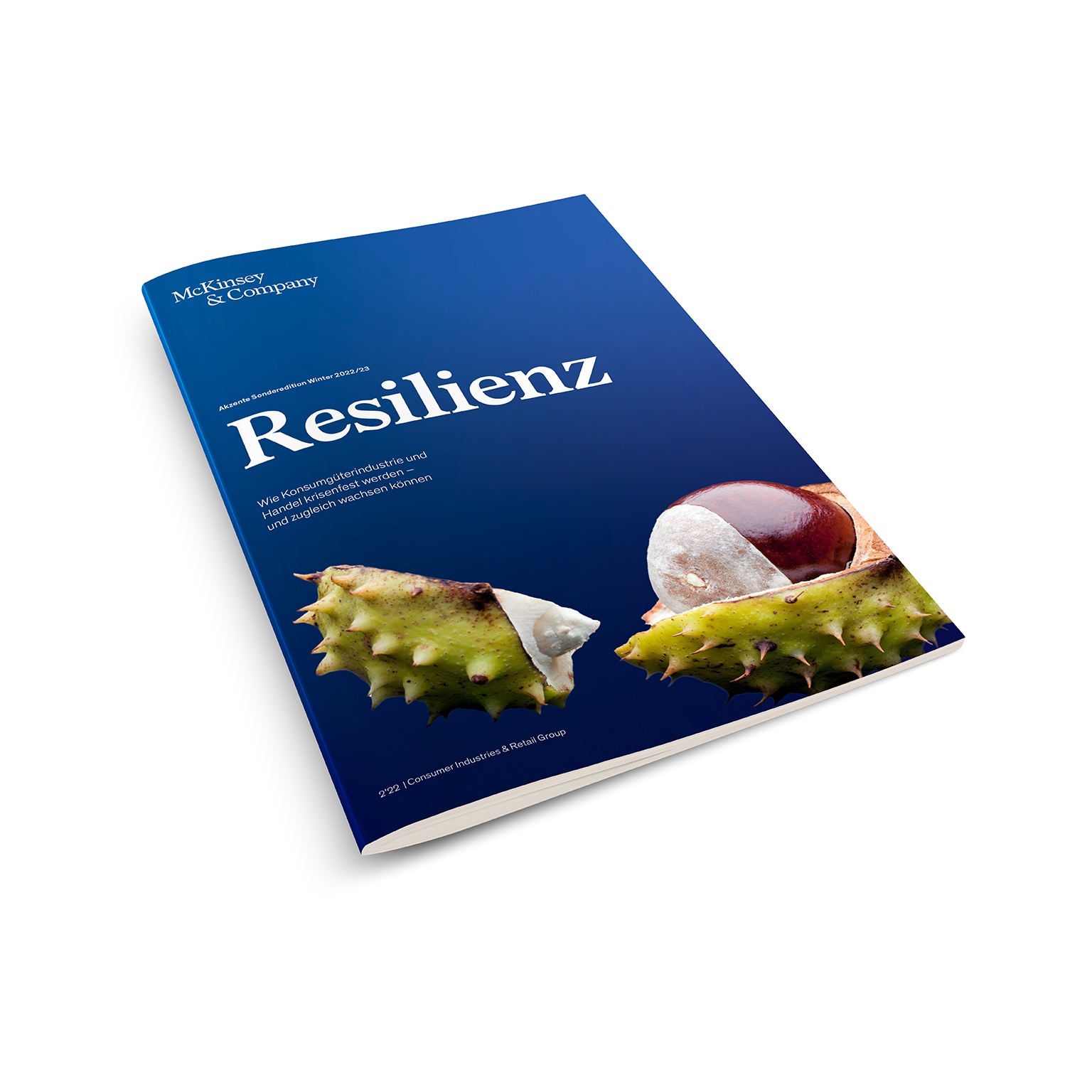 Akzente Buchcover