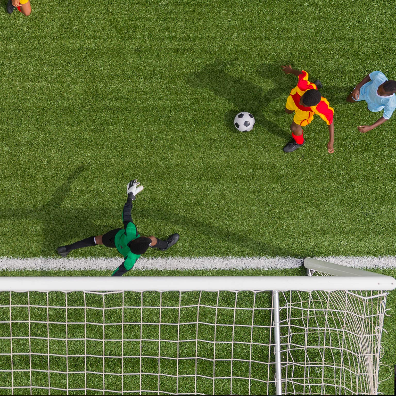 The five trademarks of agile organizations