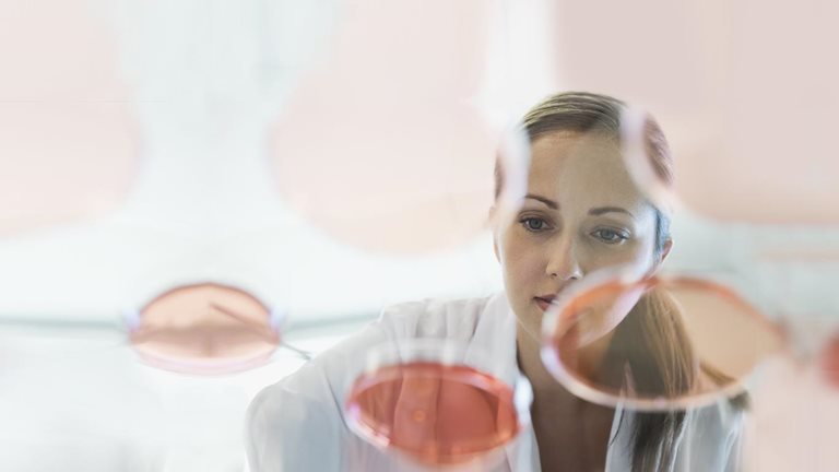 Bridging the talent gap in Denmark: Insights from female representation in STEM
