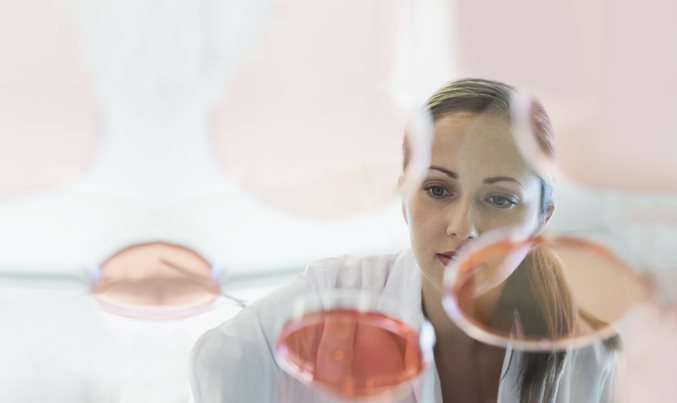 Bridging the talent gap in Denmark: Insights from female representation in STEM