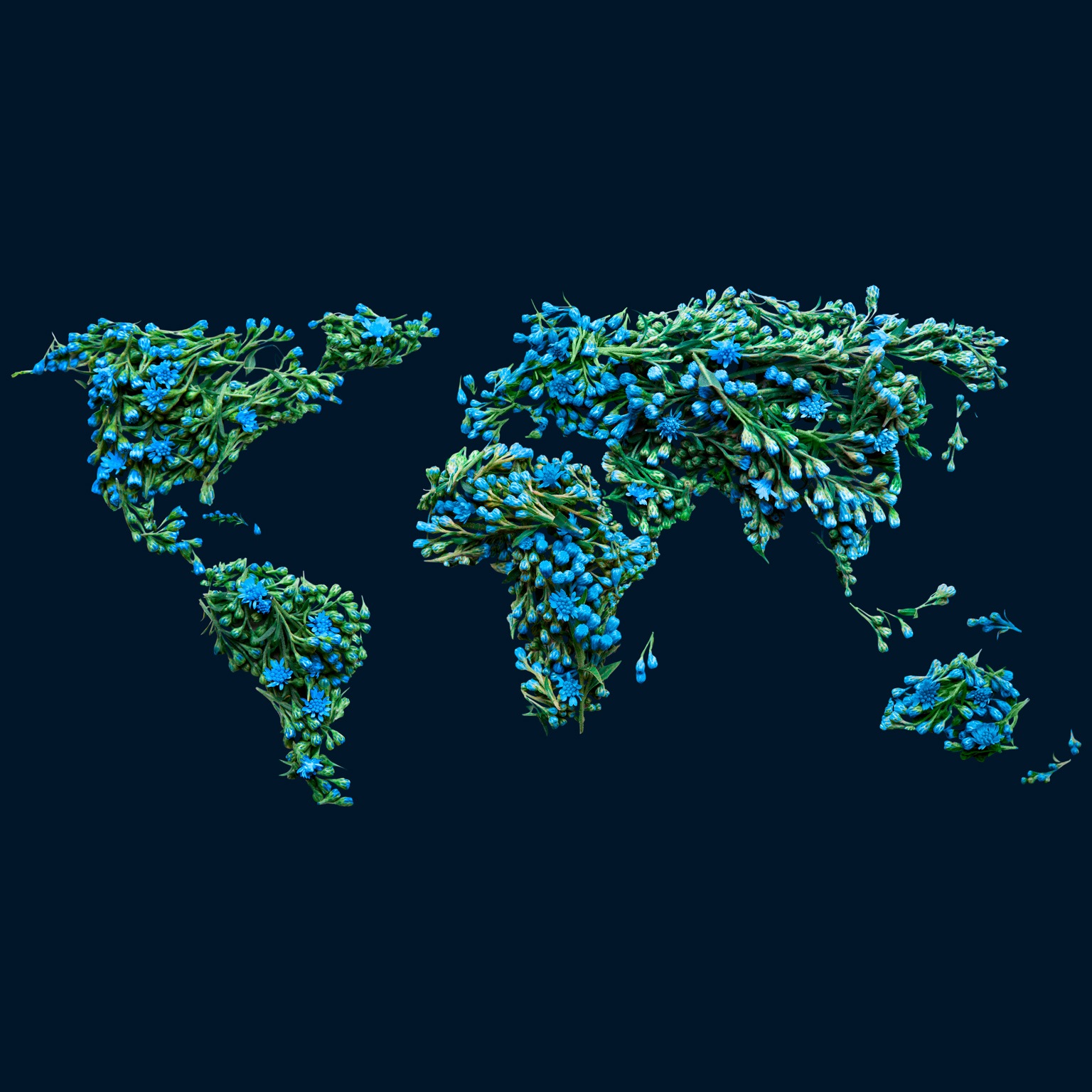 Map of the world designed in flowers
