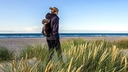 Year Det økonomiske potentiale af GenAI i Danmark