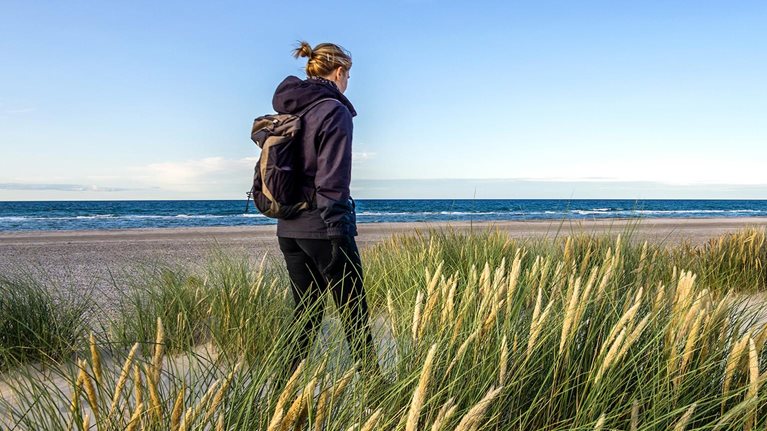 Year Det økonomiske potentiale af GenAI i Danmark