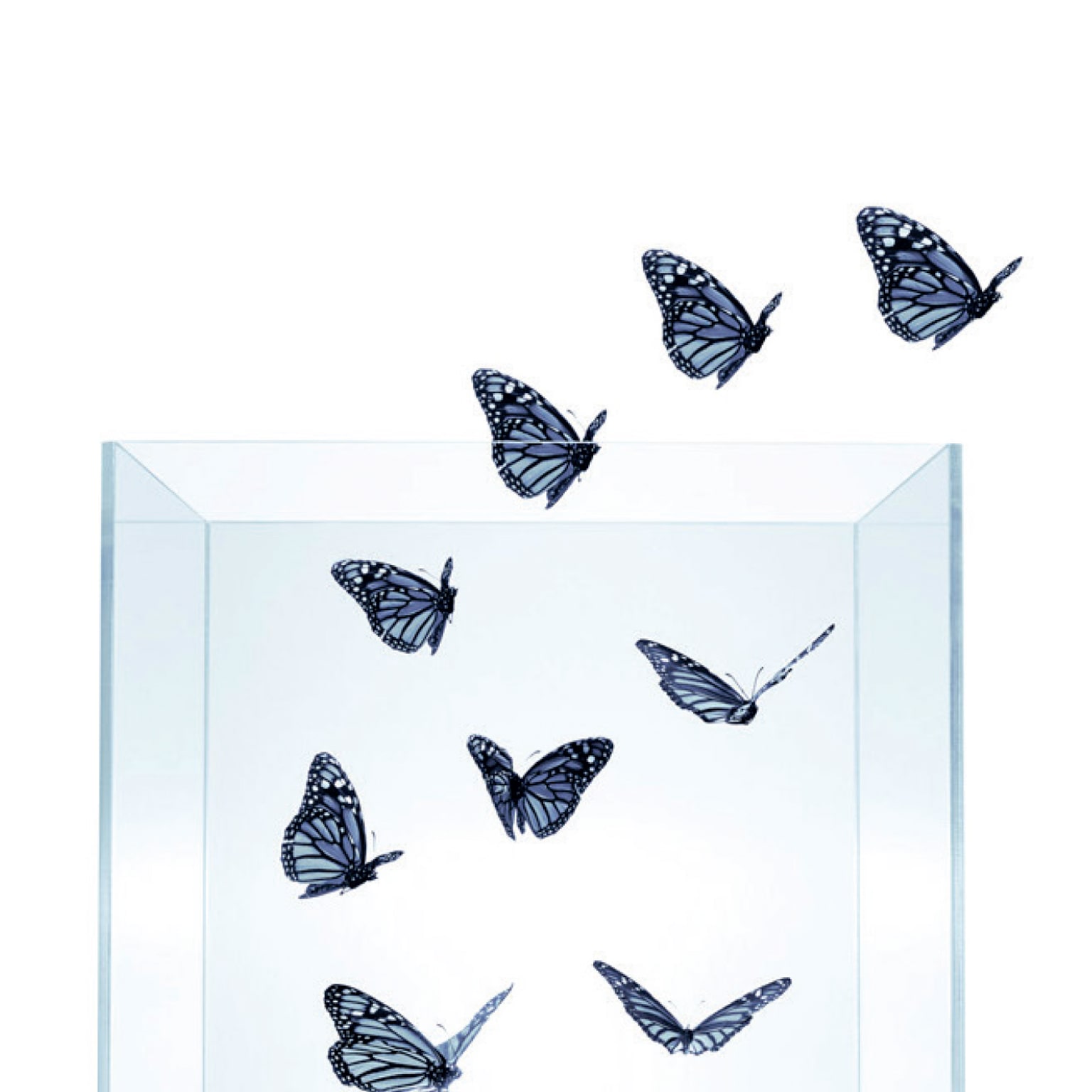 Ayude a sus trabajadores a encontrar sentido de propósito... o sea testigo de cómo se van de su empresa