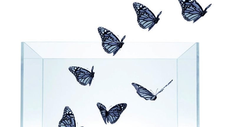 Ayude a sus trabajadores a encontrar sentido de propósito... o sea testigo de cómo se van de su empresa