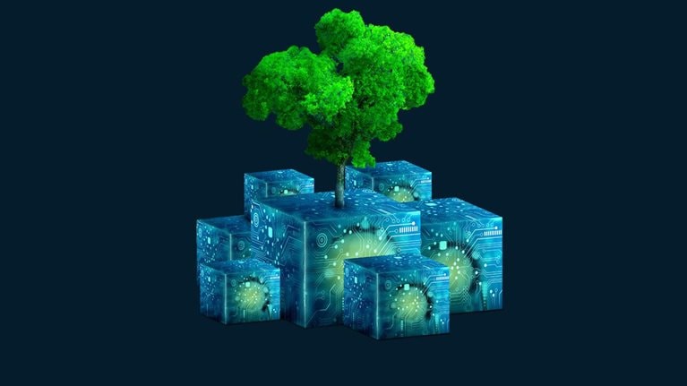 Emerging from a cluster of digitally textured cubes, a vibrant young tree stands tall, flourishing with health and lush greenery.