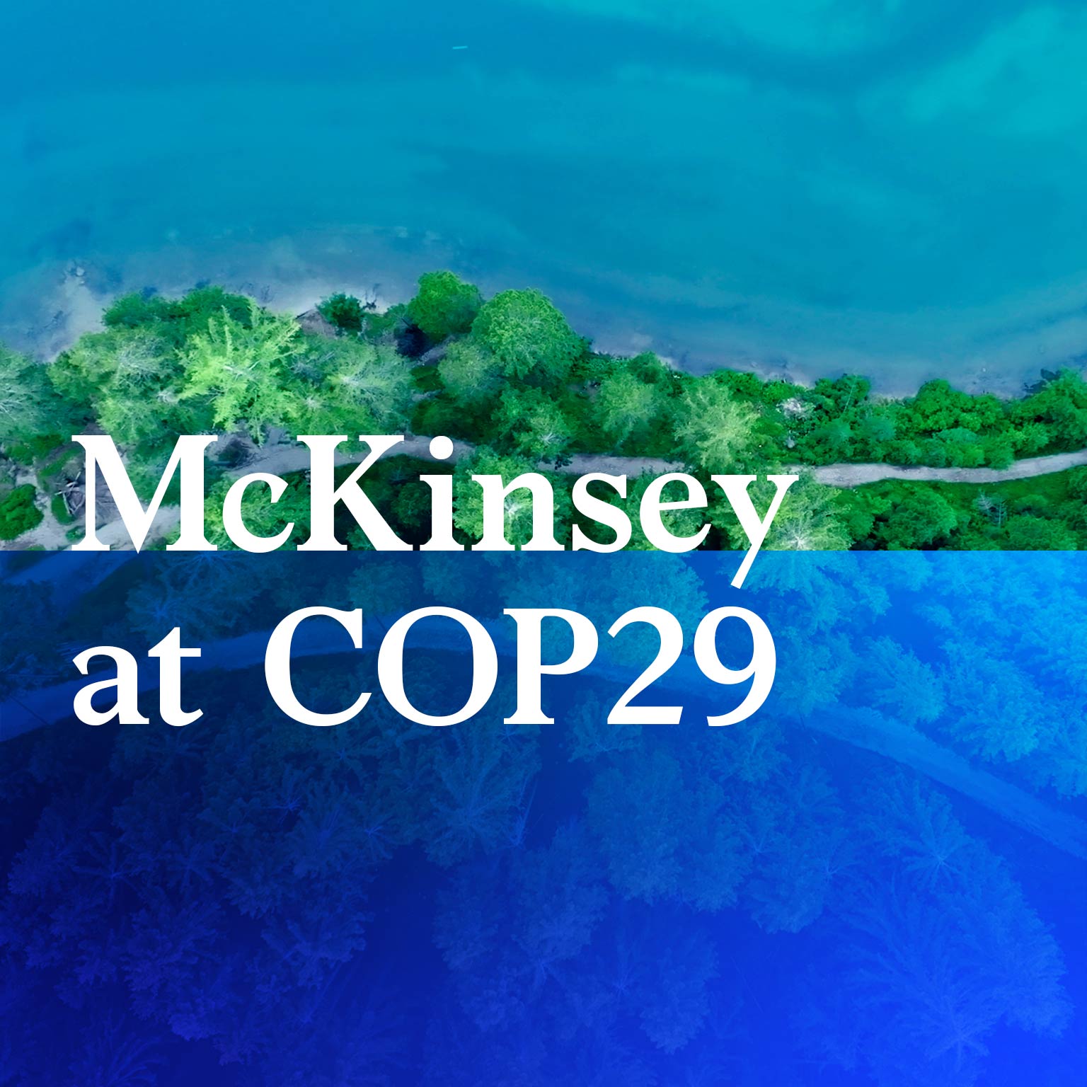 McKinsey at COP29