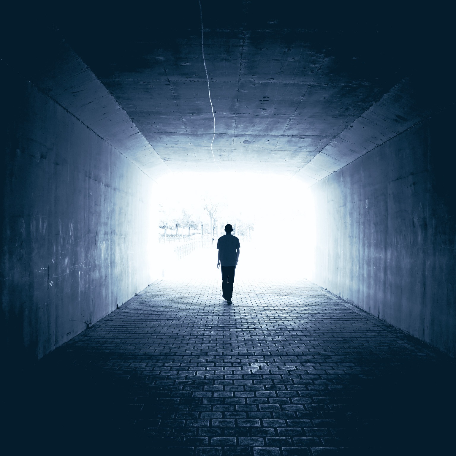 The future is not what it used to be: Thoughts on the shape of the next normal