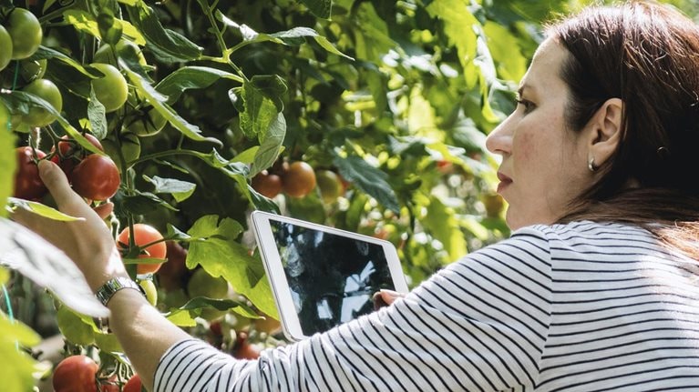 Unlocking the online retail opportunity with European farmers