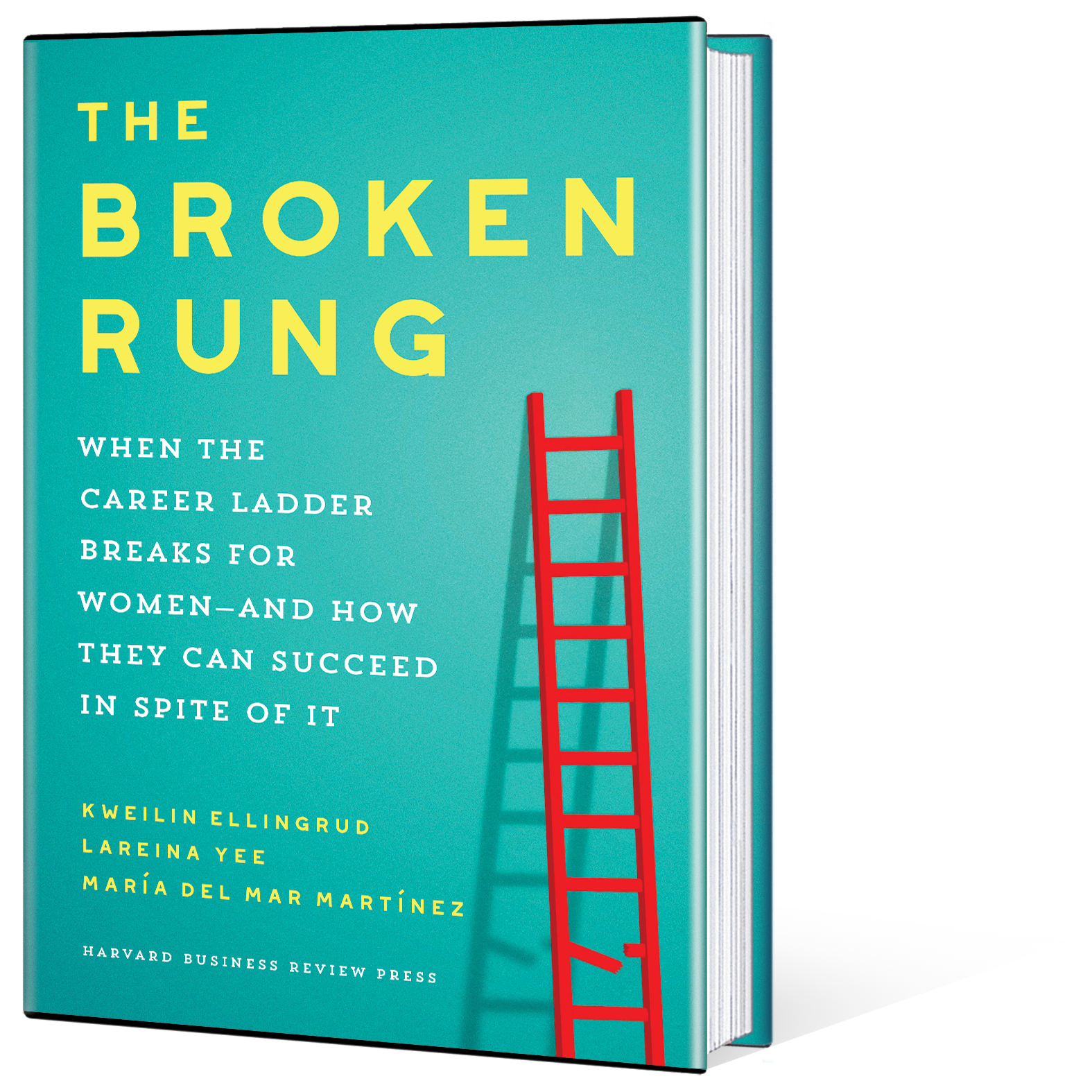 Broken Rung book press release