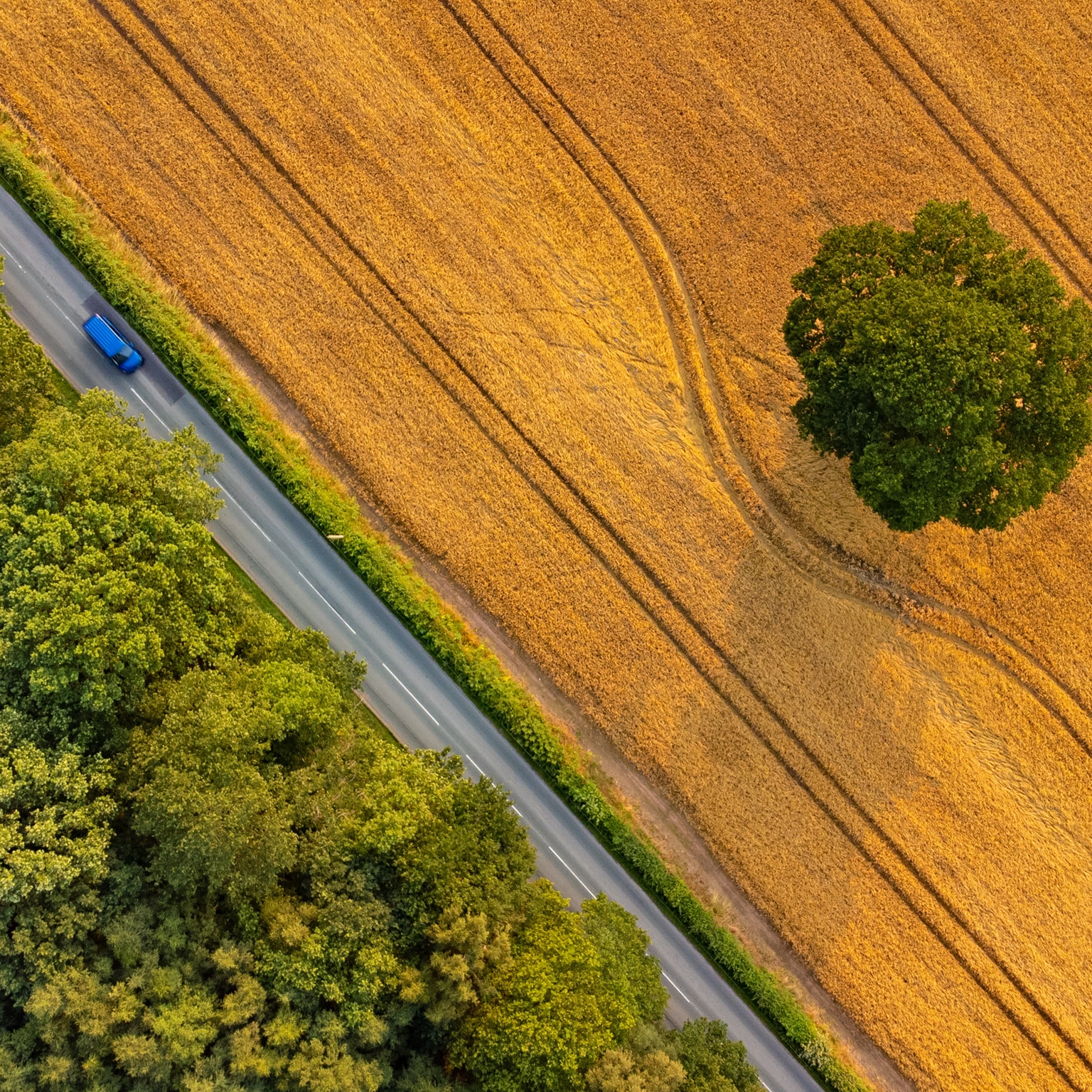 Overhead view of fields