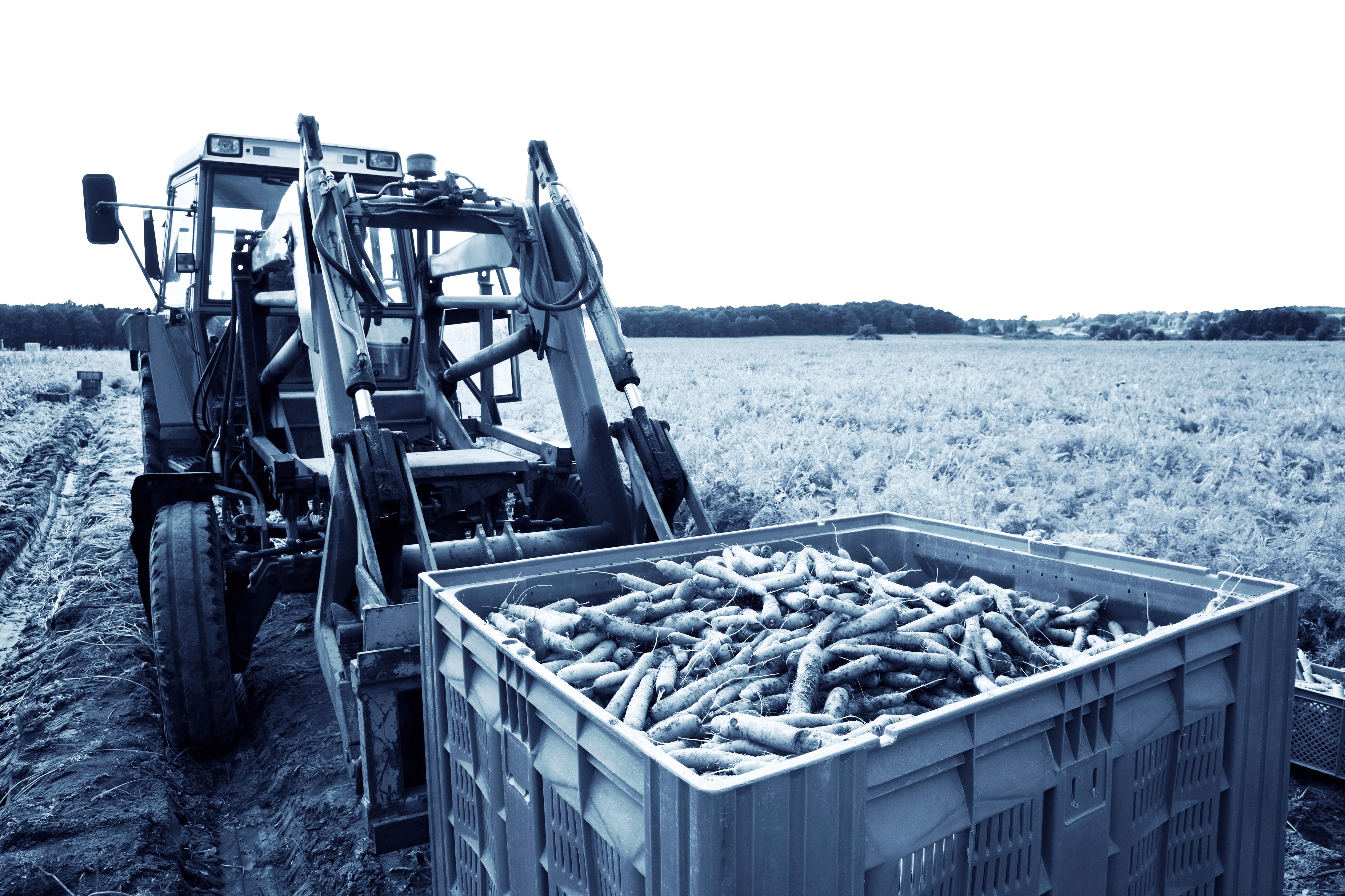 Quel avenir pour le modèle coopératif agricole français ?