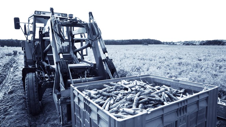 Quel avenir pour le modèle coopératif agricole français ?