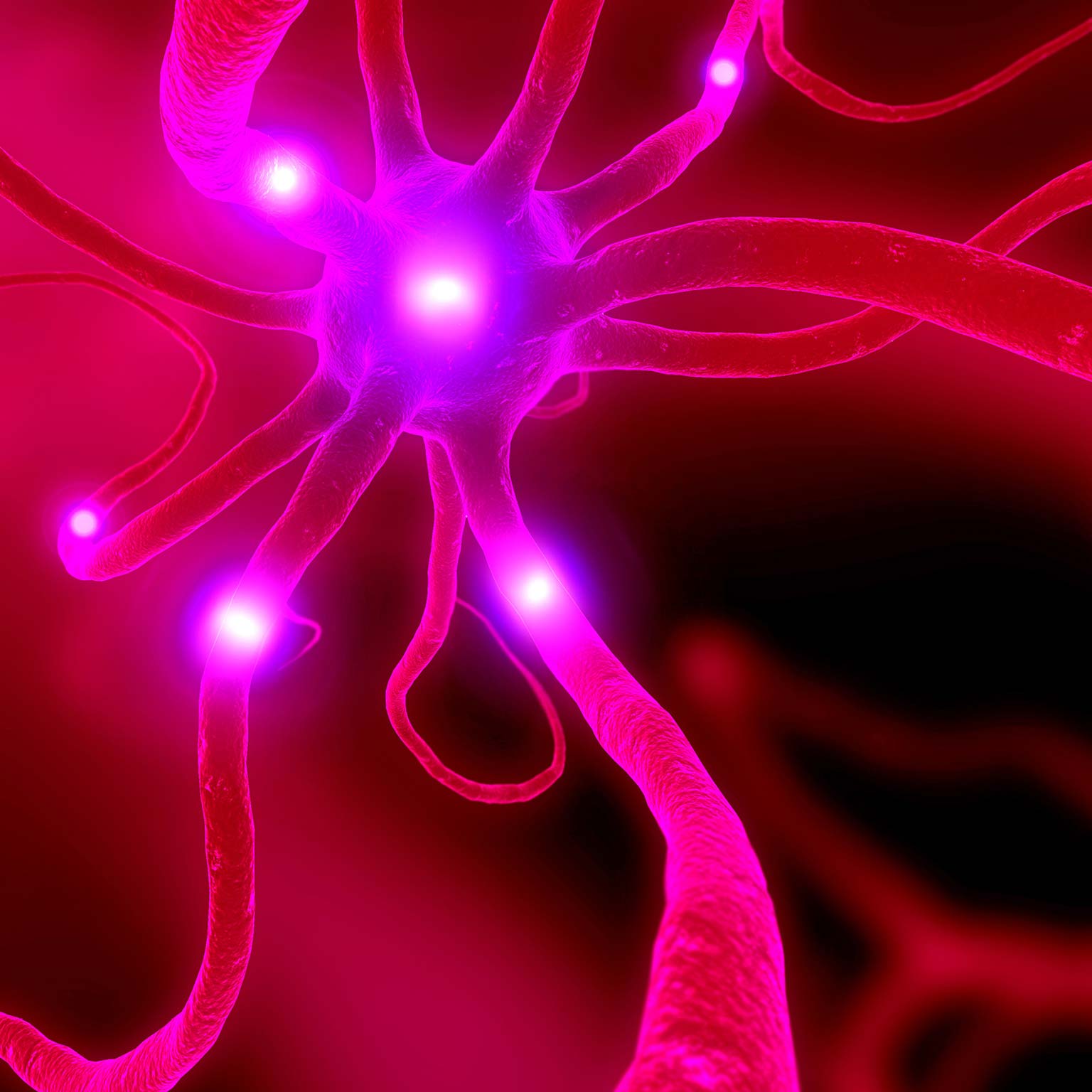 An analytics approach to debiasing asset-management decisions