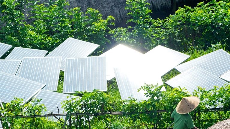 Solar panels in tropical garden