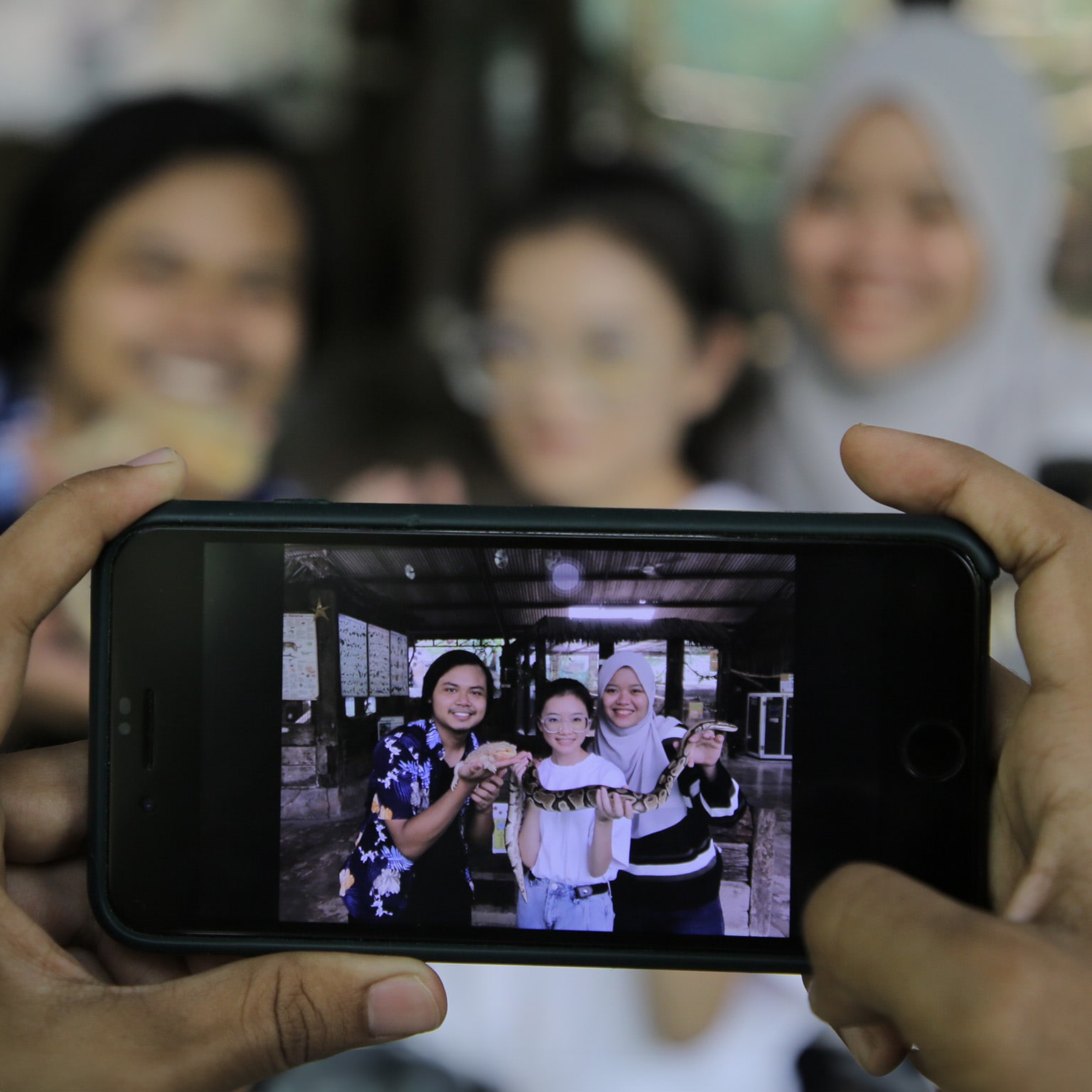 A group of young Asian friends are taking group photo with Royal Python during weekend outing at petting zoo in Malaysia.