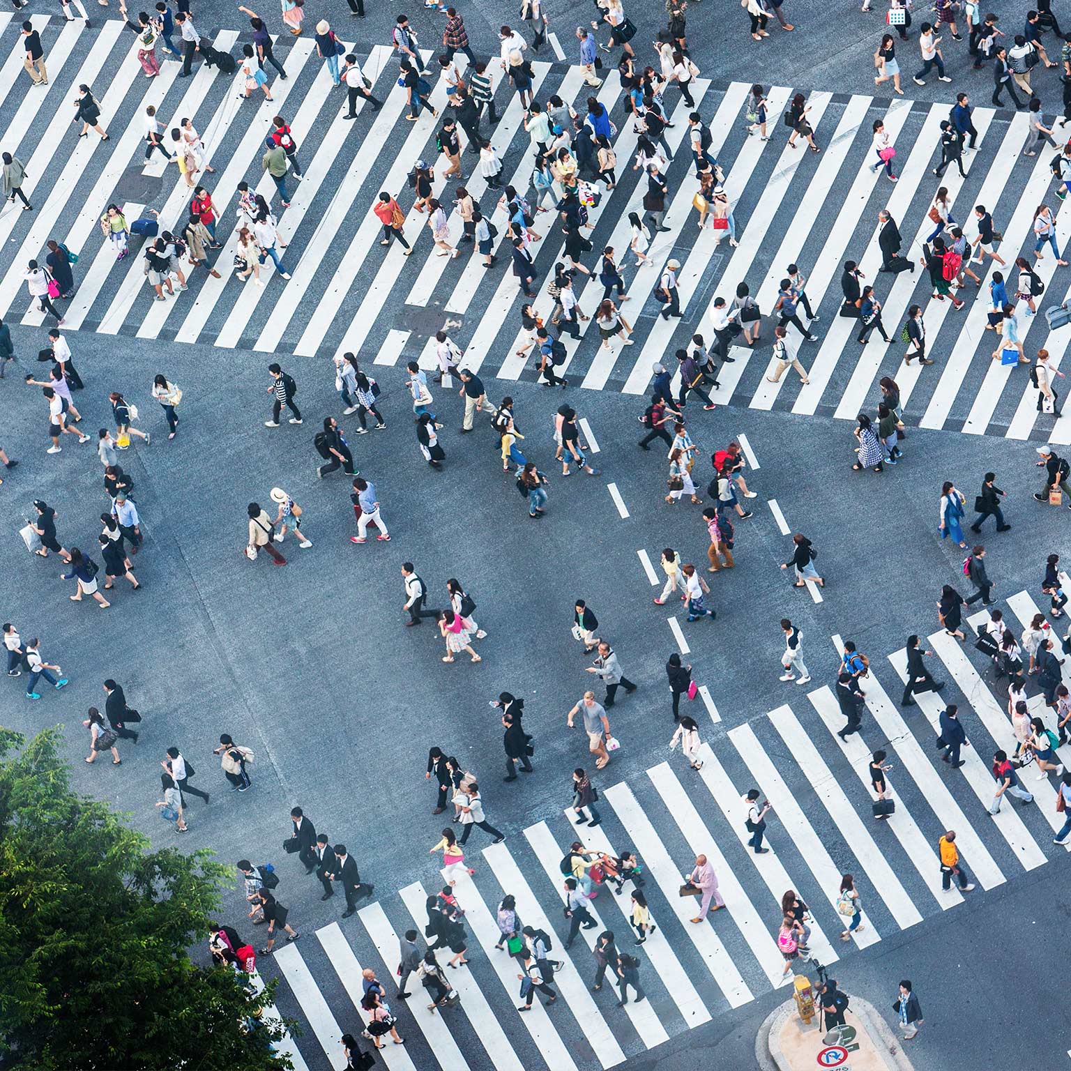 The opportunity in government productivity