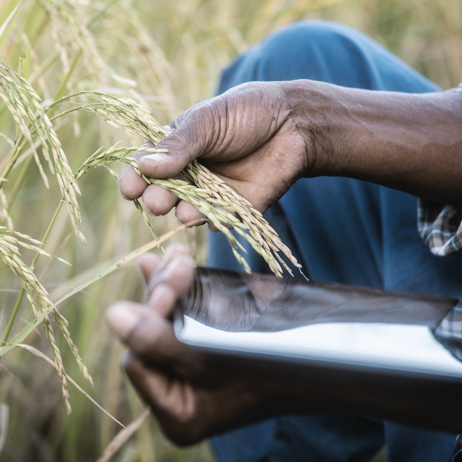 Supply-chain optimization: The next frontier of value creation