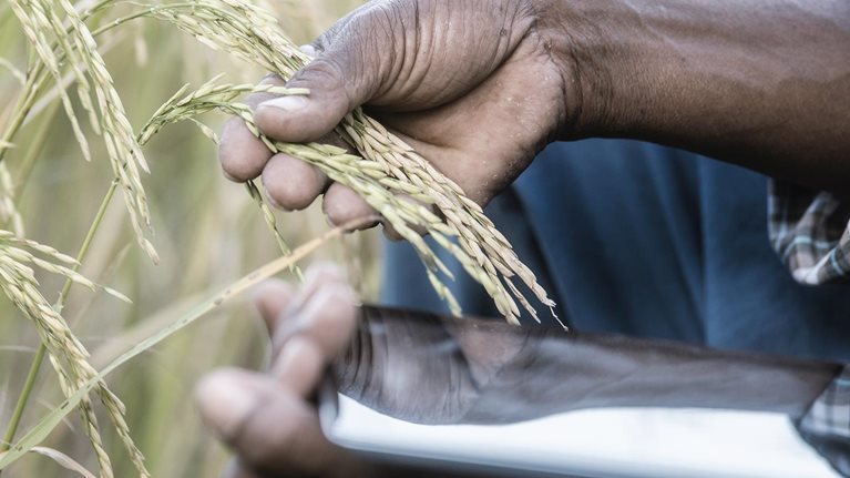 Supply-chain optimization: The next frontier of value creation