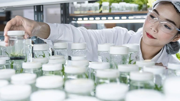 Needle in a haystack: Patents that inspire agricultural innovation