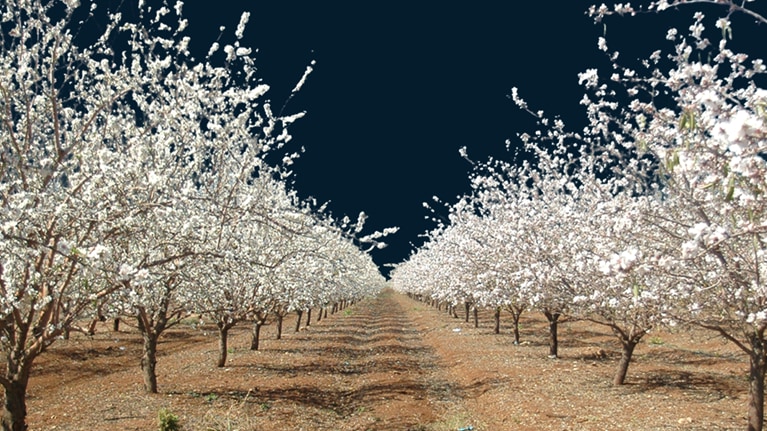 Israel’s productivity opportunity