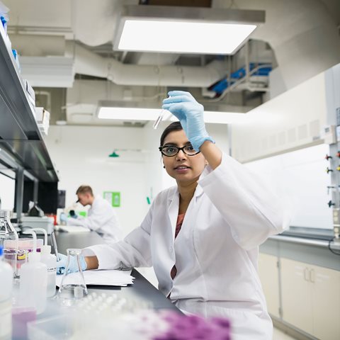 Experienced professionals