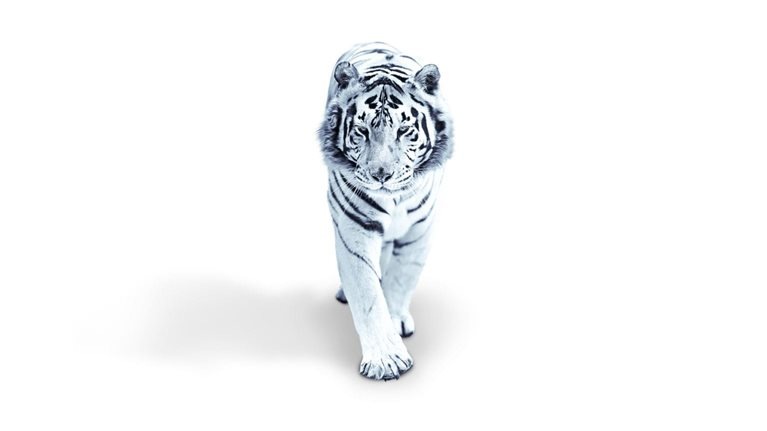 The future of Asia: Decoding the value and performance of corporate Asia