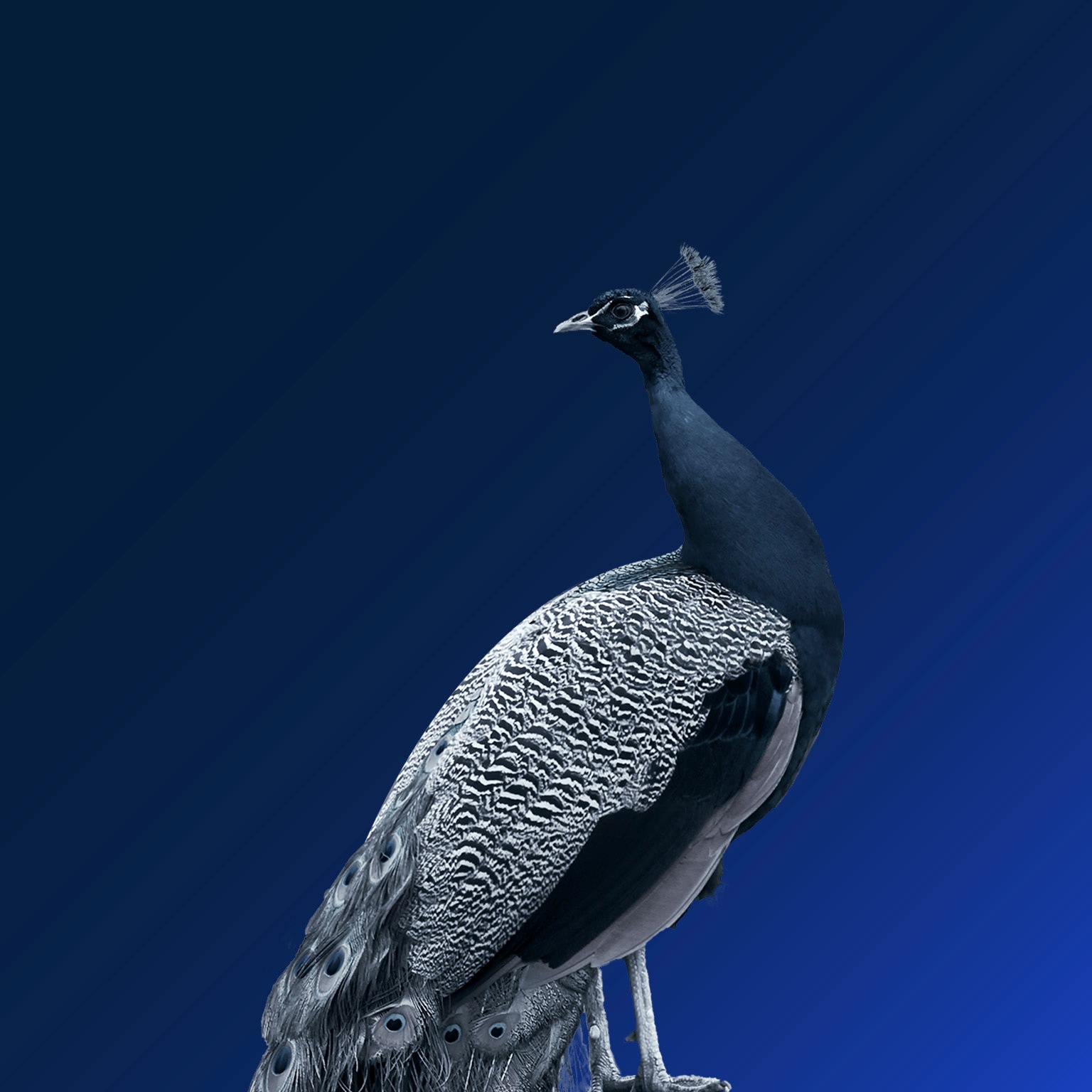 India’s economic turning point