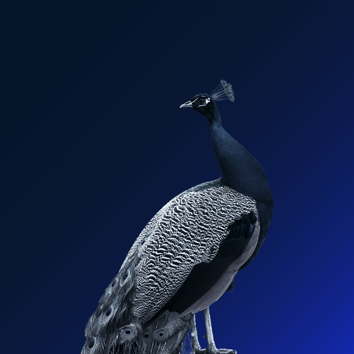 India’s economic turning point