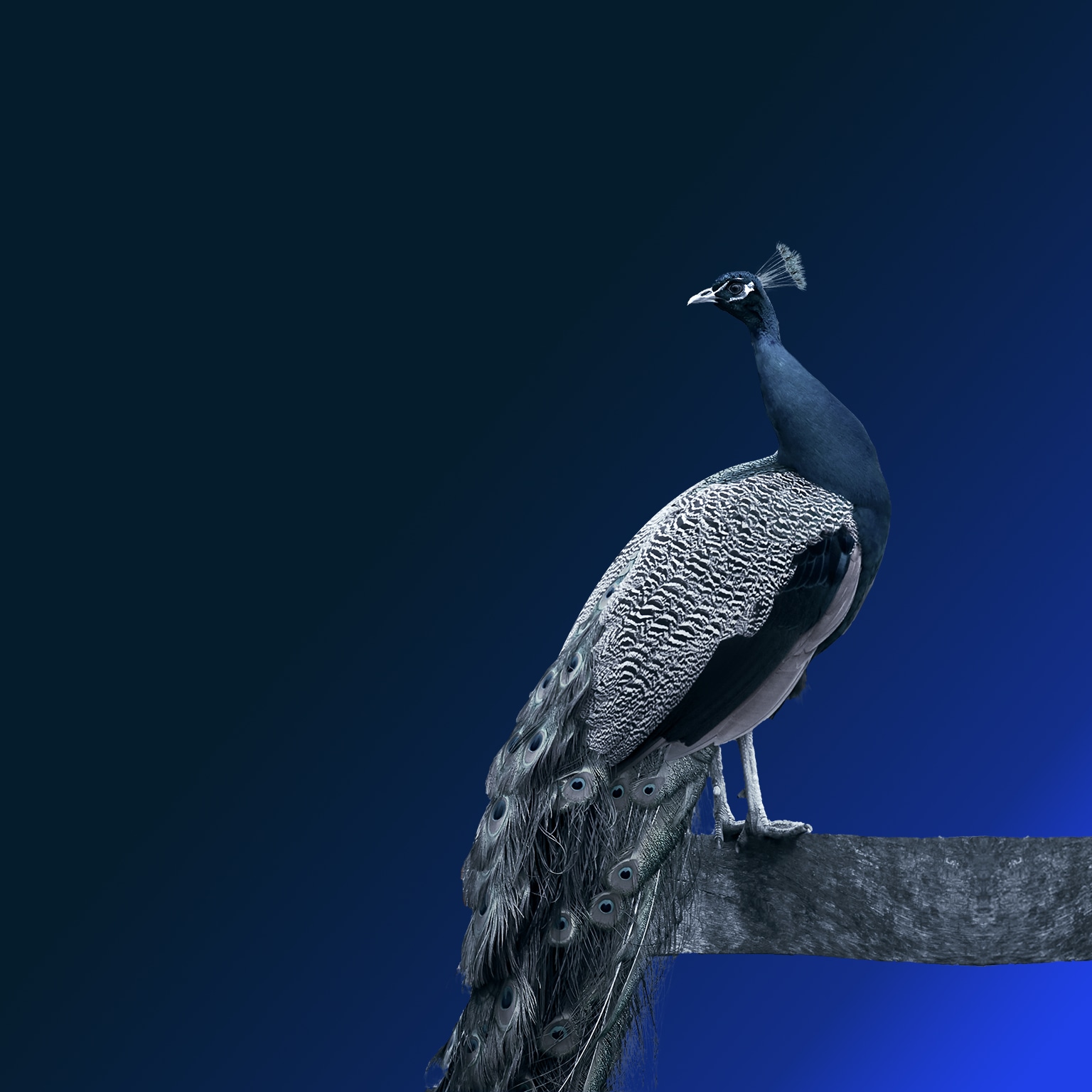 India’s turning point: An economic agenda to spur growth and jobs