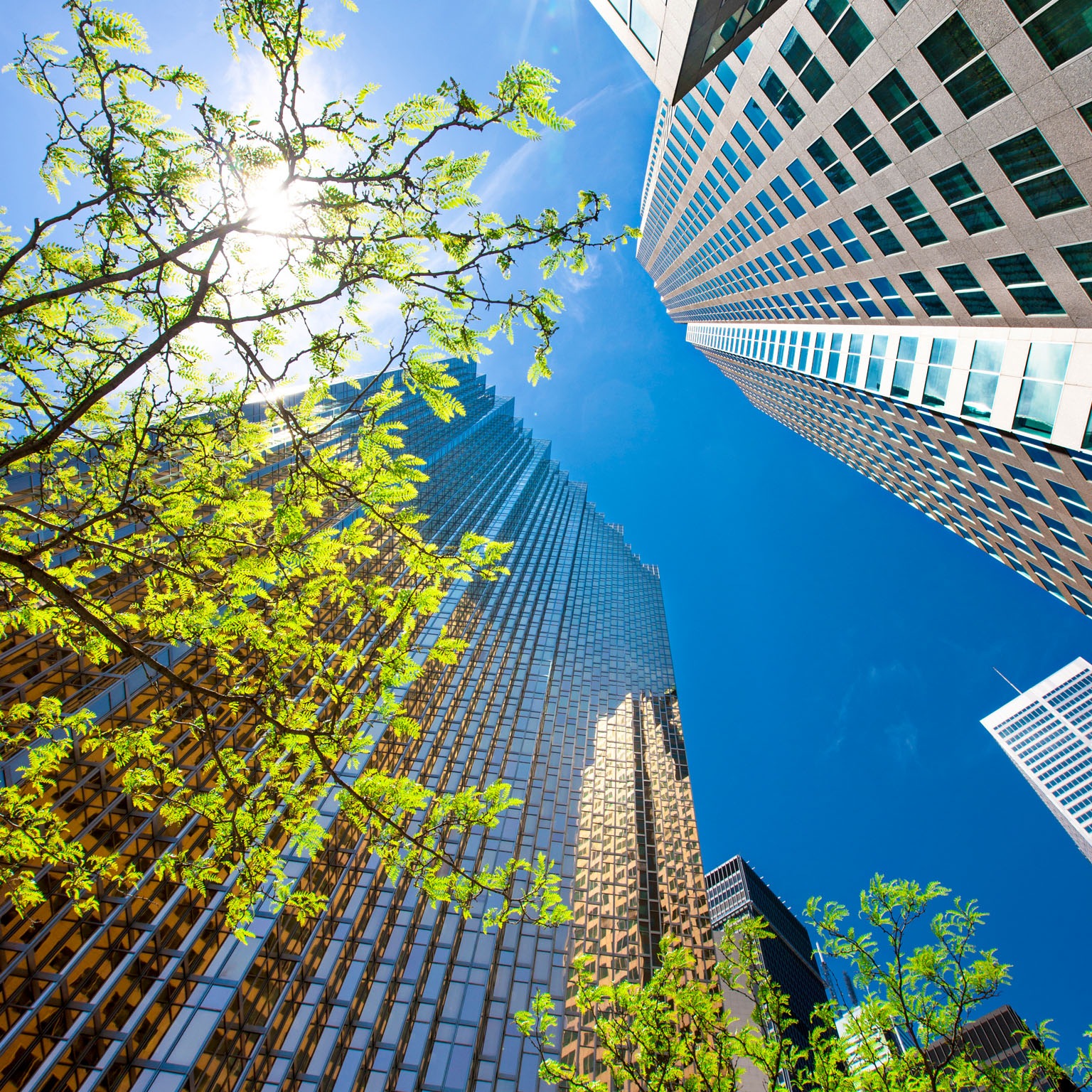 From ‘why’ to ‘why not’: Sustainable investing as the new normal