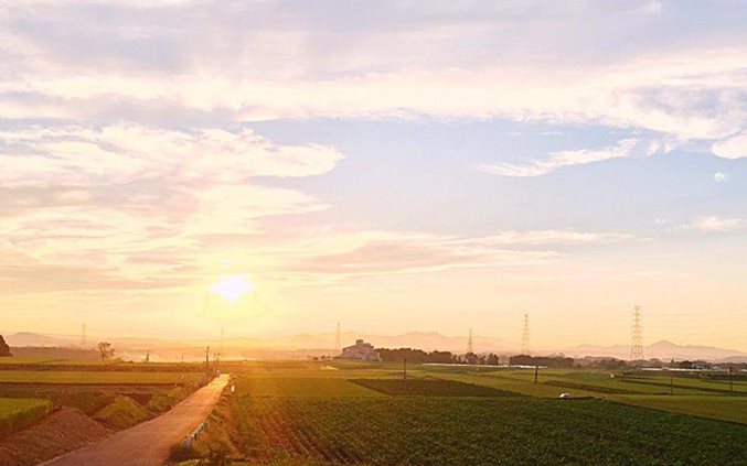 Food security in Japan: Building a strategy in an age of global competition