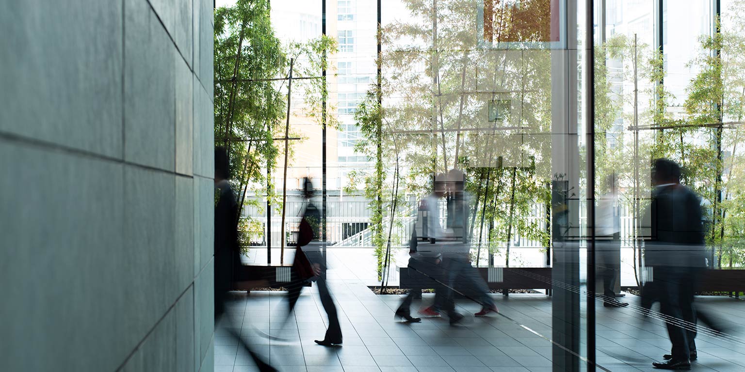 Roles at McKinsey Japan