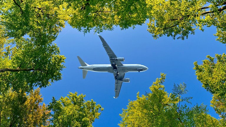 Airplane flying overhead against blue sky between trees