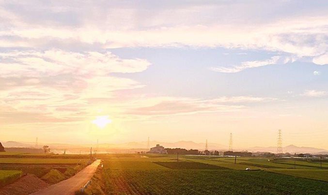 日本の食料安全保障:「⁠グ⁠ロ⁠ー⁠バ⁠ル食⁠料争⁠奪時⁠代⁠」を見据えた戦略を構築せよ
