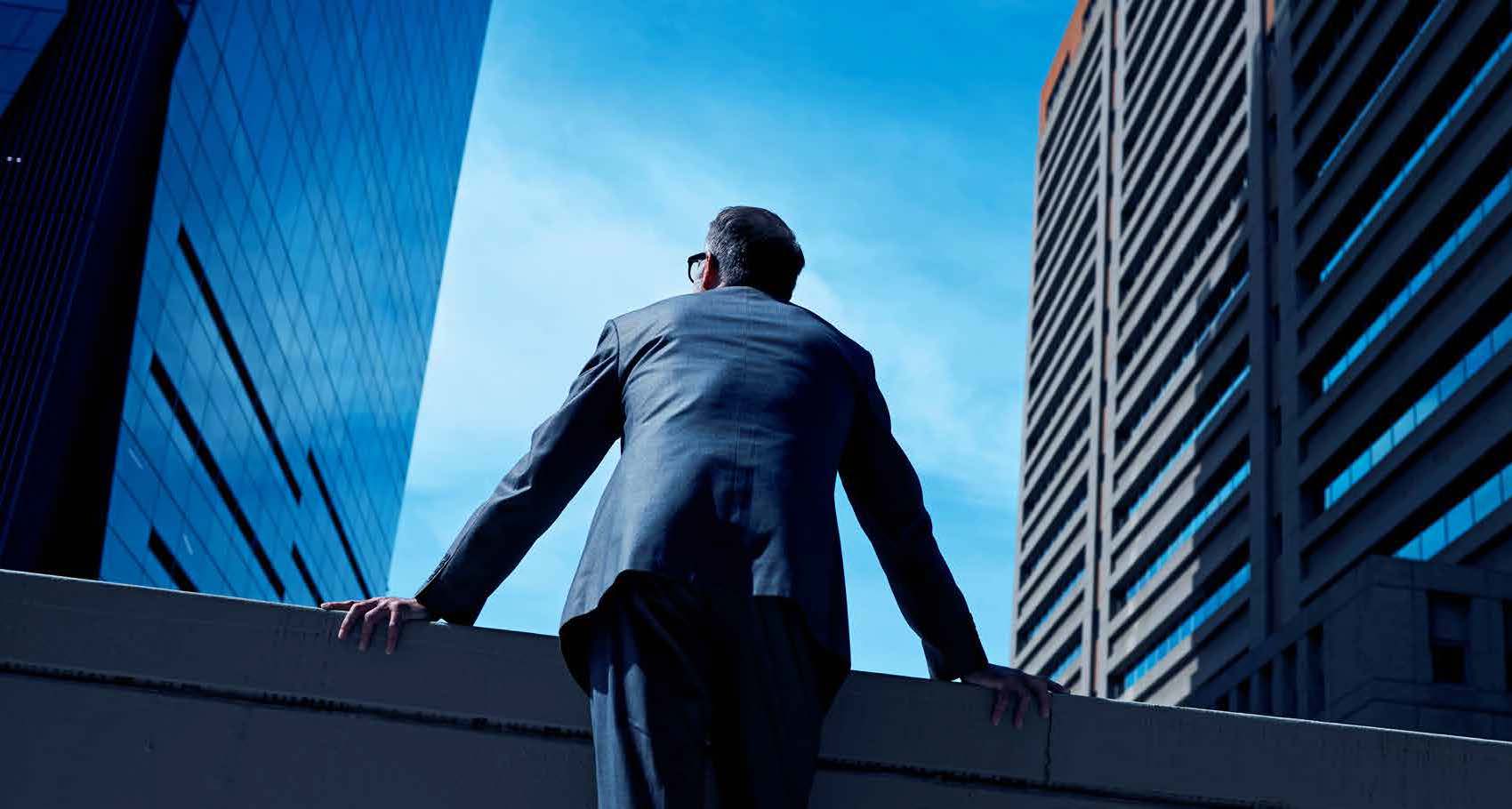 What the survey results of Japanese CEOs reveal