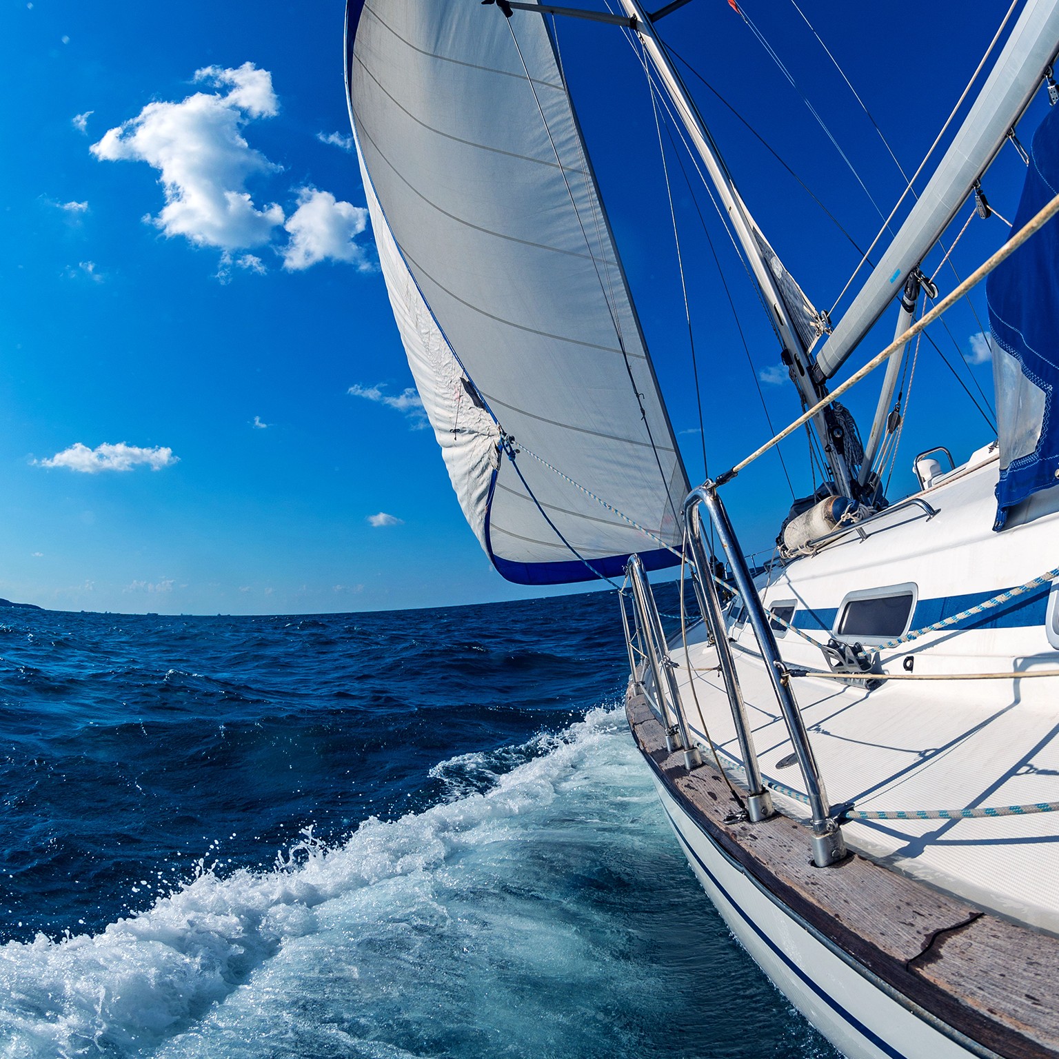 CEOの「四季」第二段階(初期) 始まりこそ 力強く