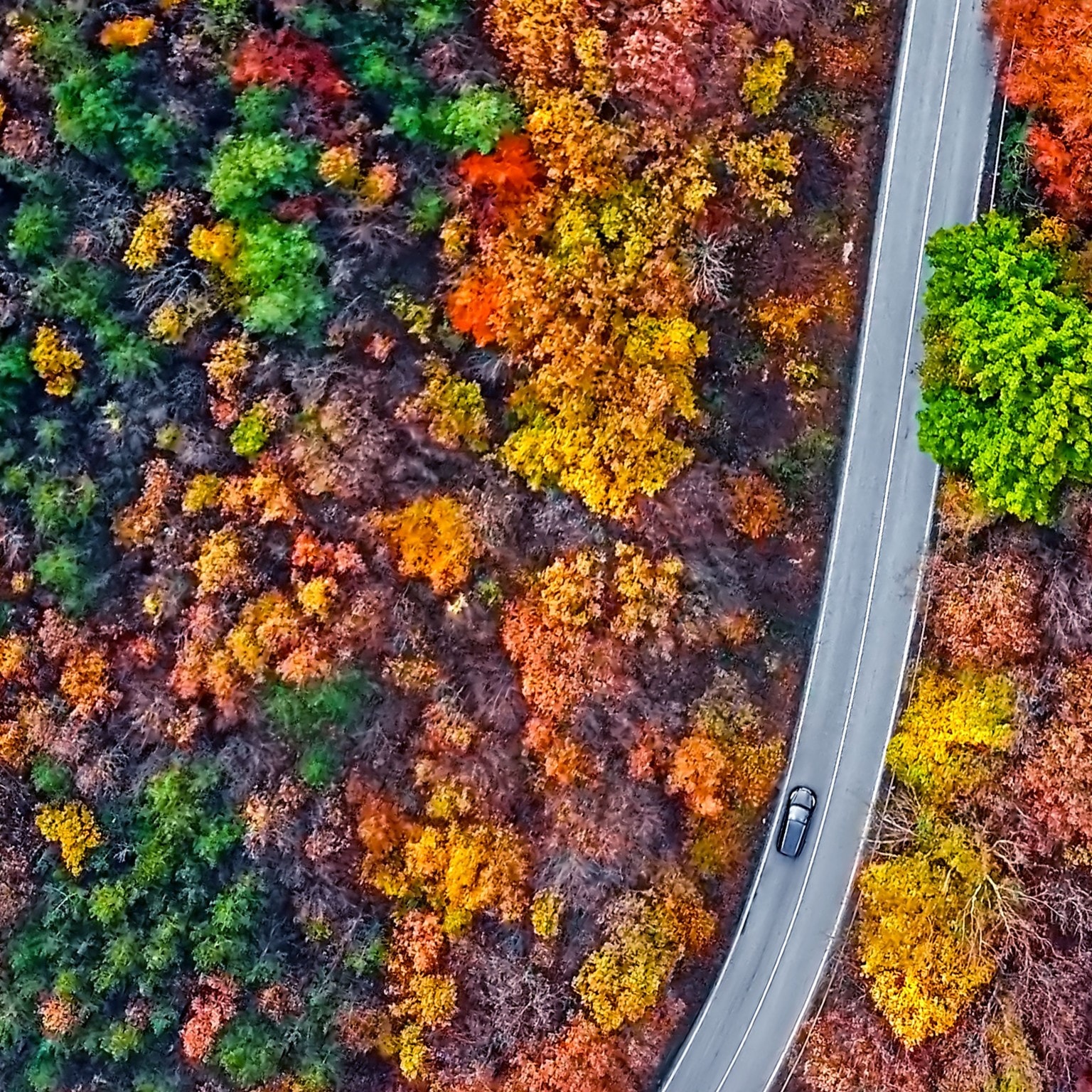 CEOの「四季」第三段階(中期) 成功を 持続させる