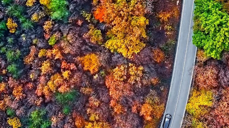 CEOの「四季」第三段階(中期) 成功を 持続させる