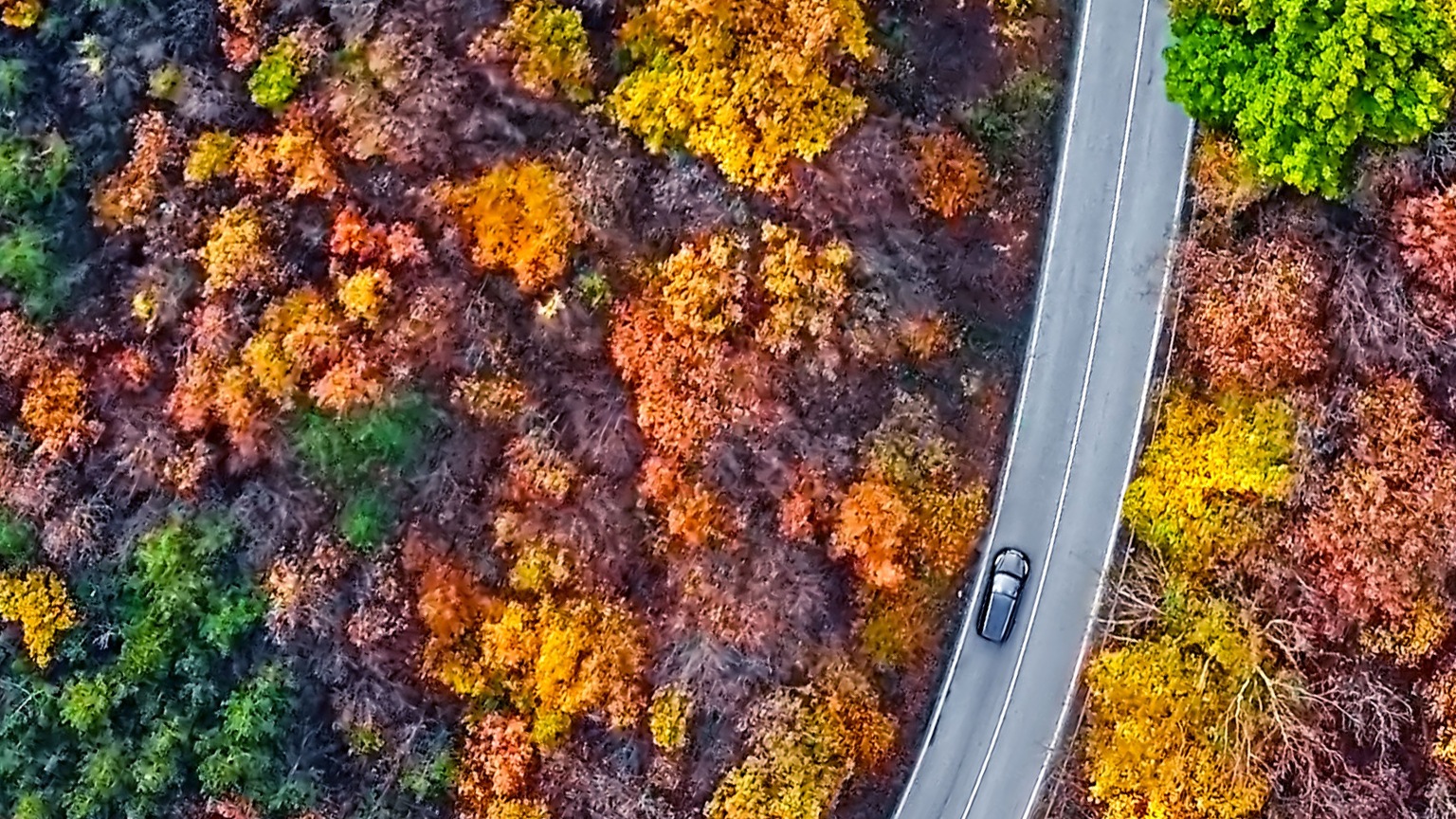 CEOの「四季」第三段階(中期) 成功を 持続させる