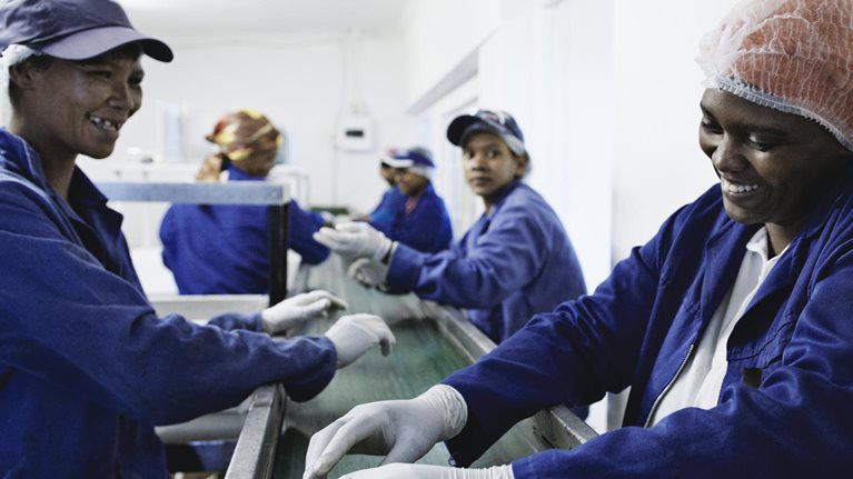 Reopening and reimagining Africa