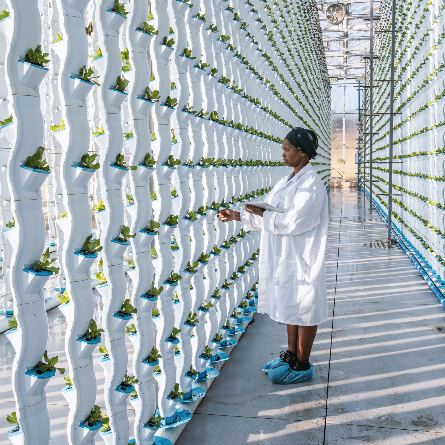 How digital tools can help transform African agri-food systems