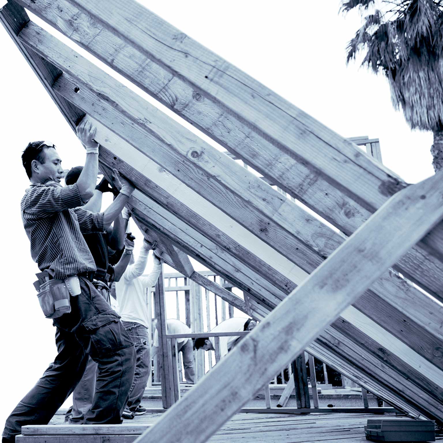 Public & Social Sector