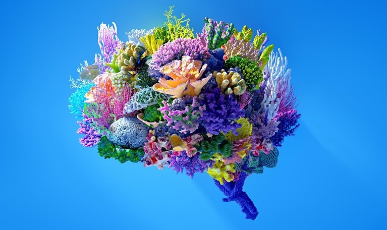 A vibrantly colored 3D image of various types of coral in the shape of a brain.