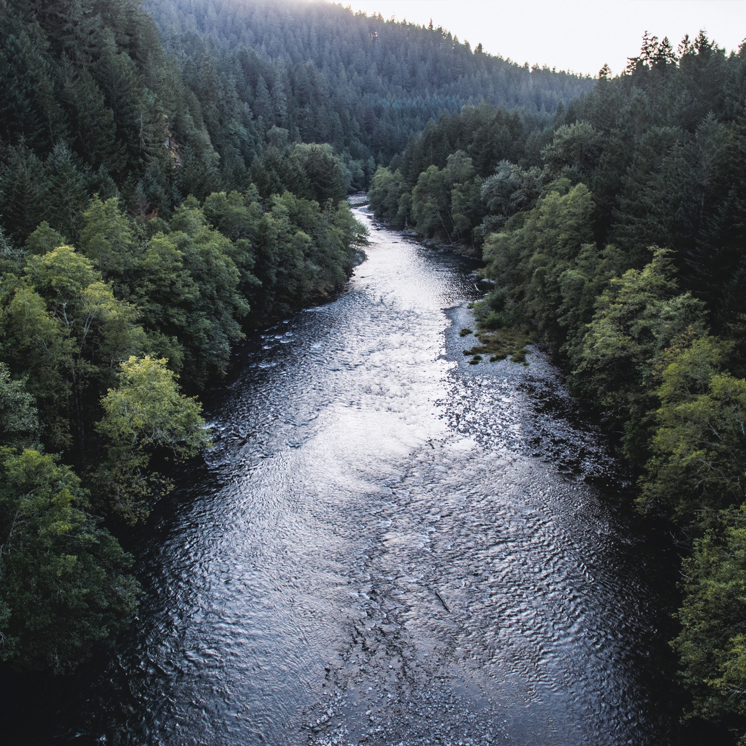 The state of the chemical industry—it is getting more complex