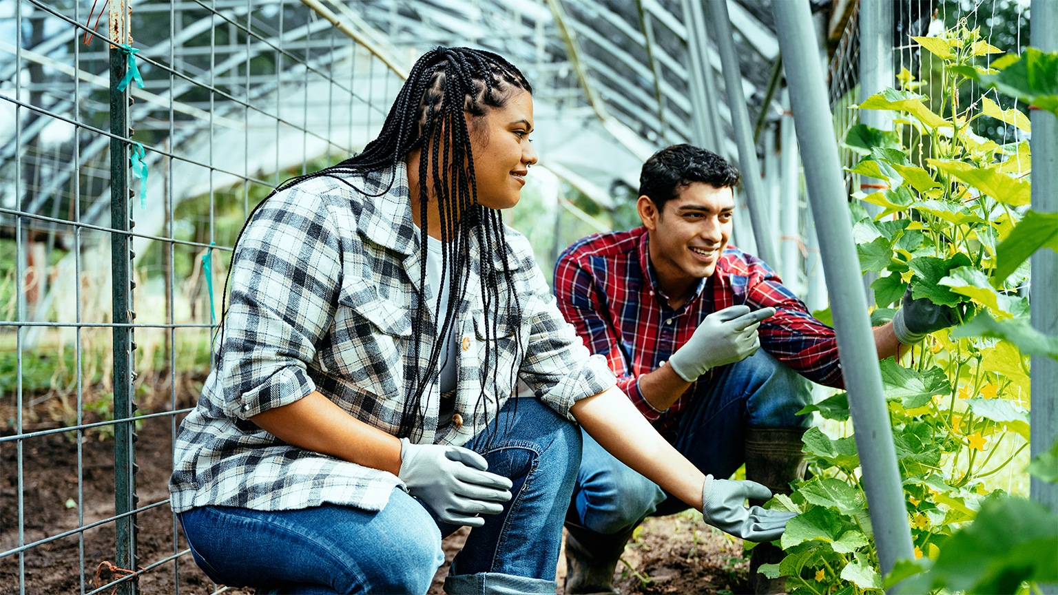 Two people working in a garden